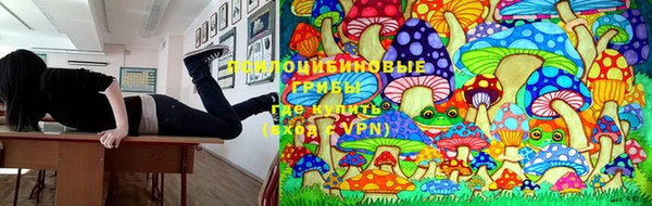 2c-b Нефтегорск